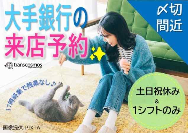 ◎猫と遊ぶ女性